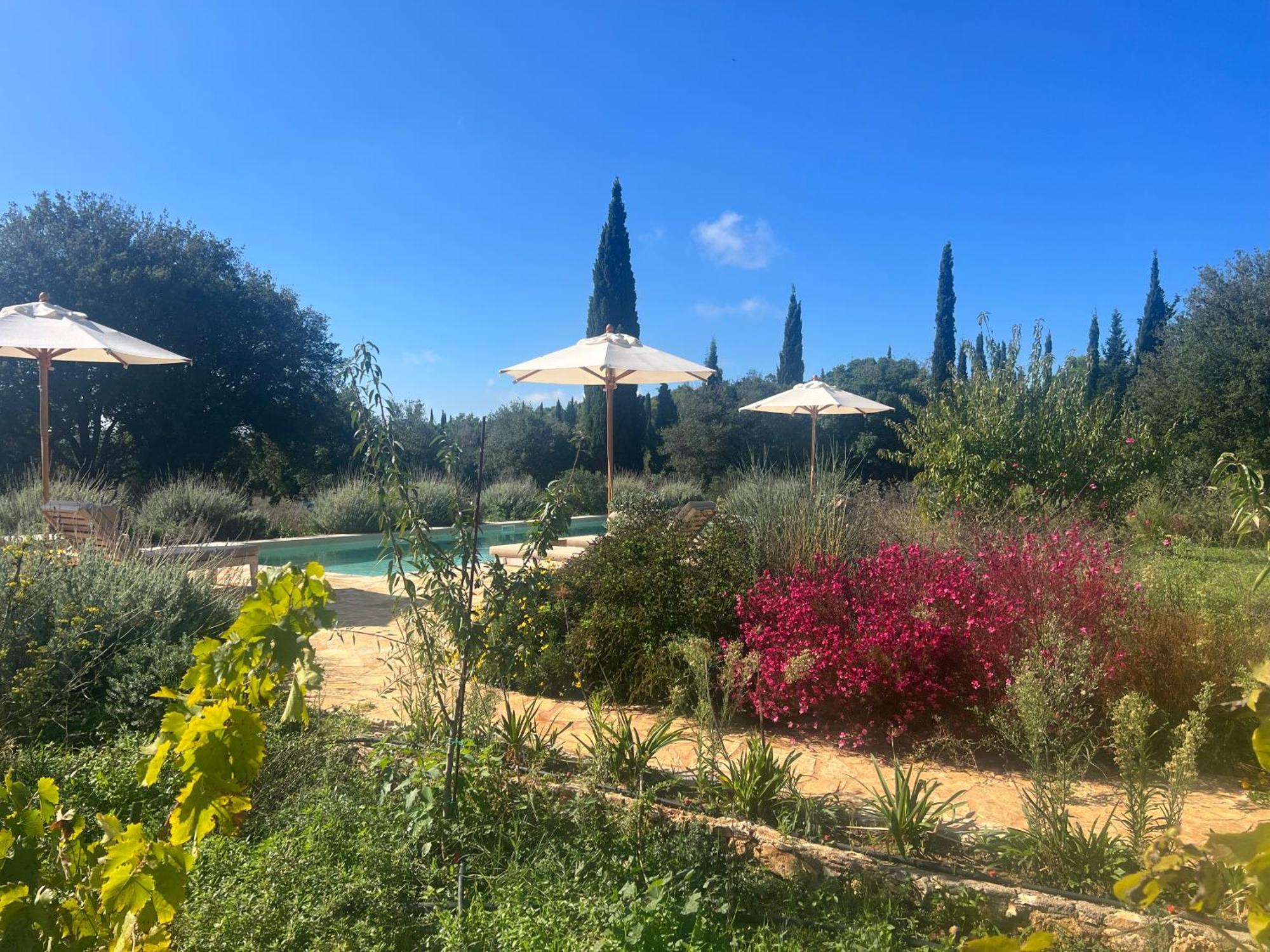Vakantiehuis Alkis Farm And